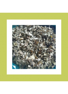 Rau Diếp ca sấy khô